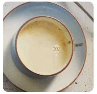 Cream Chicken soup