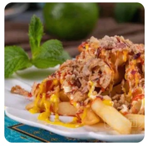 french fries with chees