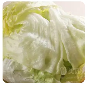 Lettuce