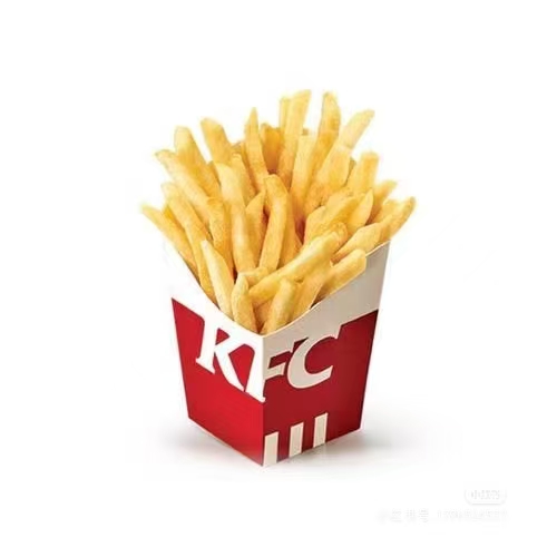  French Fries (Medium)