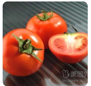 Tomato