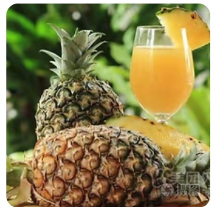 Pineapple Juice