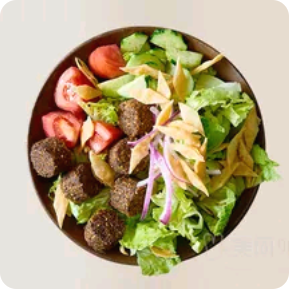Falafel Vegetable Bowl