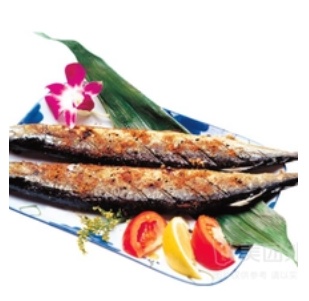 Pacific Saury