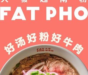 FAT PHO Dafa Vietnam Powder (World Financial Center Store)